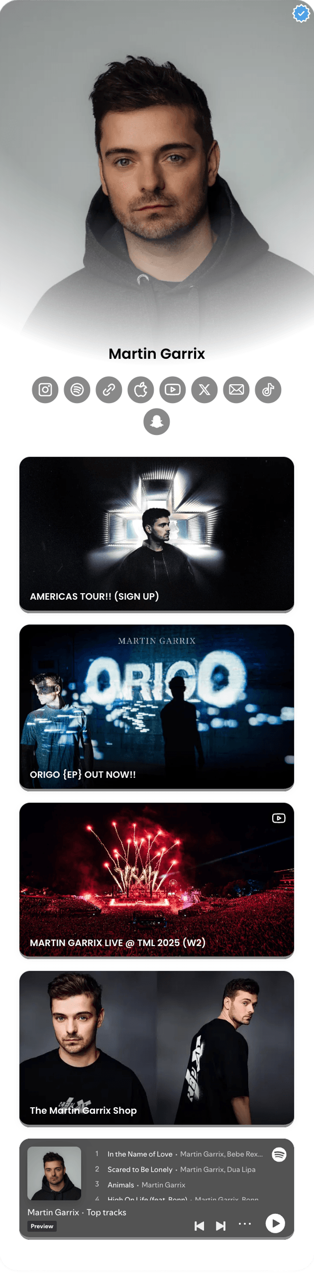 Example hoo.be page for Musicians